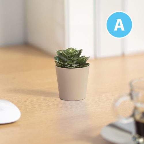 Műnövény dekoráció - cserepes - 6 x 9 cm - 6 féle