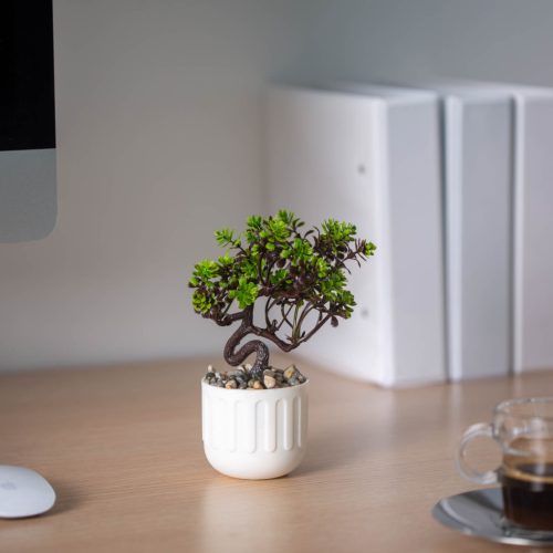 Műnövény dekoráció - bonsai, cserepes - 12 x 17 cm - 4 féle