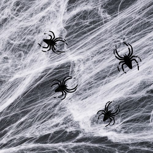 Pókháló és pók - fehérs - 4-5 m²