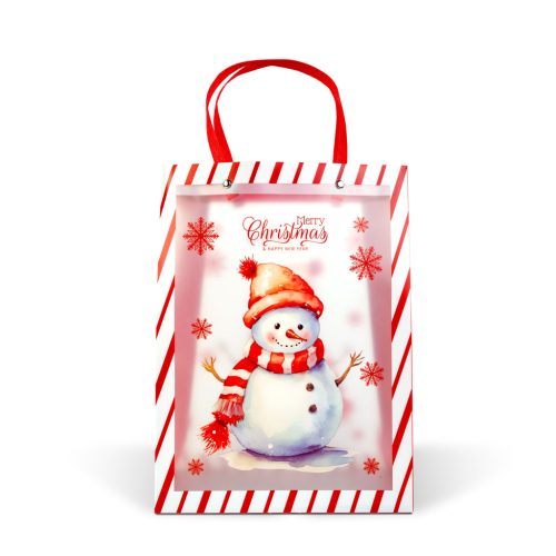 Karácsonyi ajándéktáska - 32 x 25 x 11 cm - 2 féle